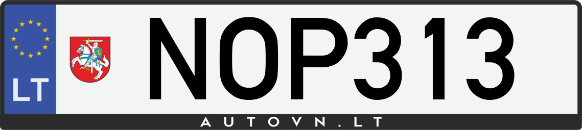 Valstybinis numeris NOP313
