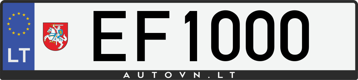 Valstybinis numeris EF1000