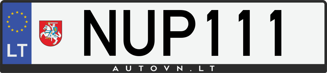 Valstybinis numeris NUP111