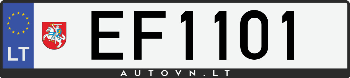 Valstybinis numeris EF1101