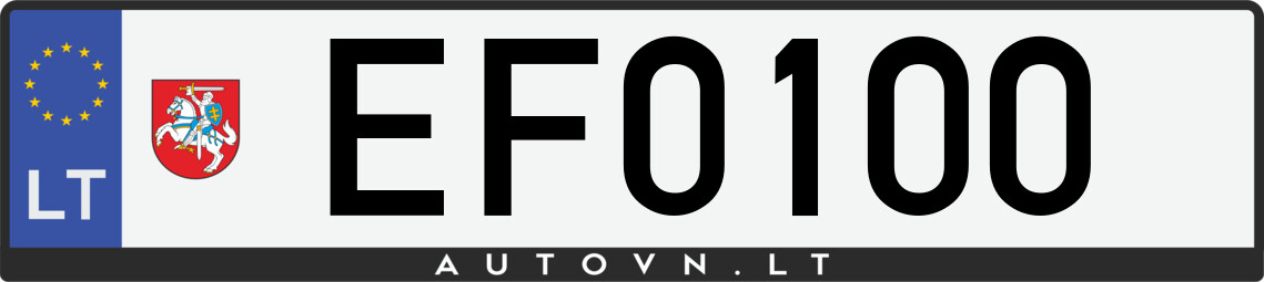 Valstybinis numeris EF0100