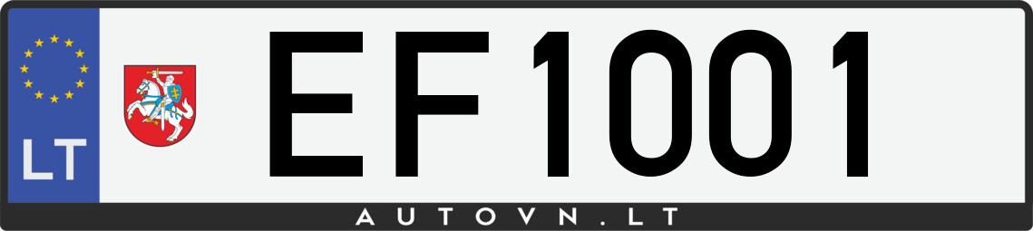 Valstybinis numeris EF1001