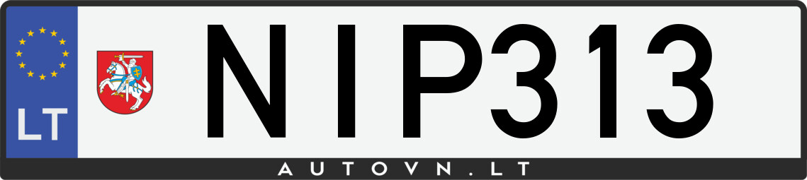 Valstybinis numeris NIP313